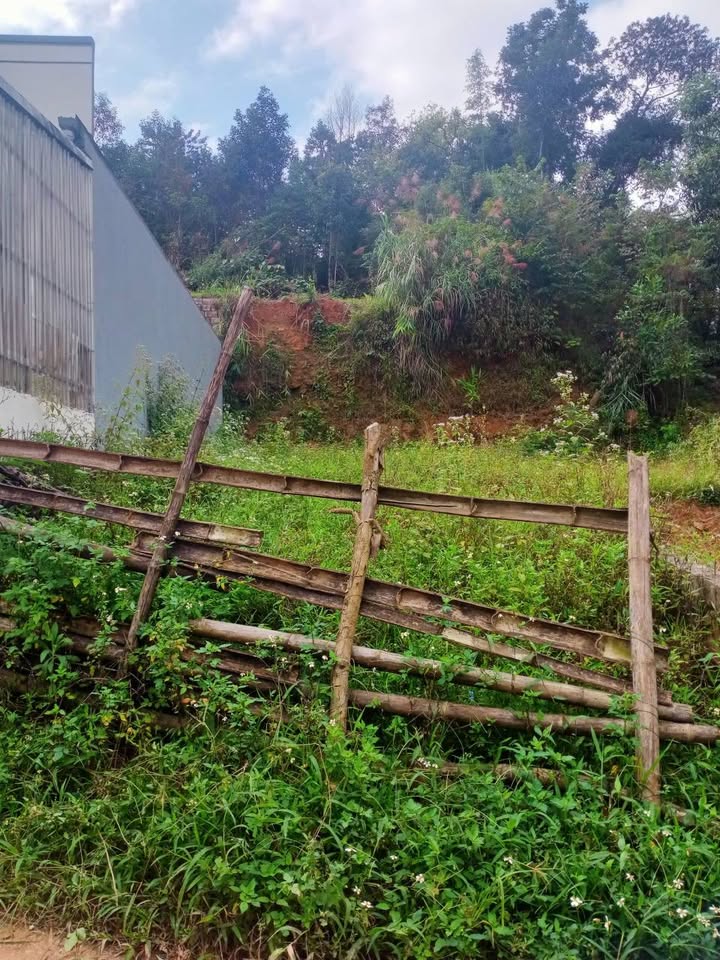 Đất Tân Giang vuông vắn, ô tô vào tận nơi, giá mềm xà beng