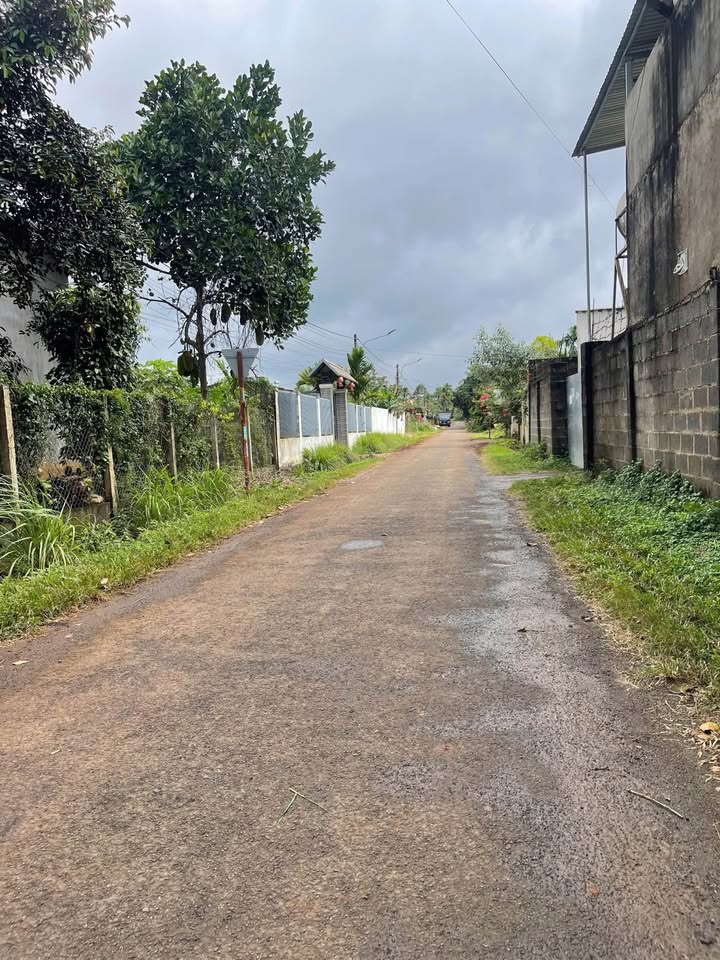 Bán đất vàng mặt tiền đường KA8, sát quốc lộ 14, Đắk Lắk