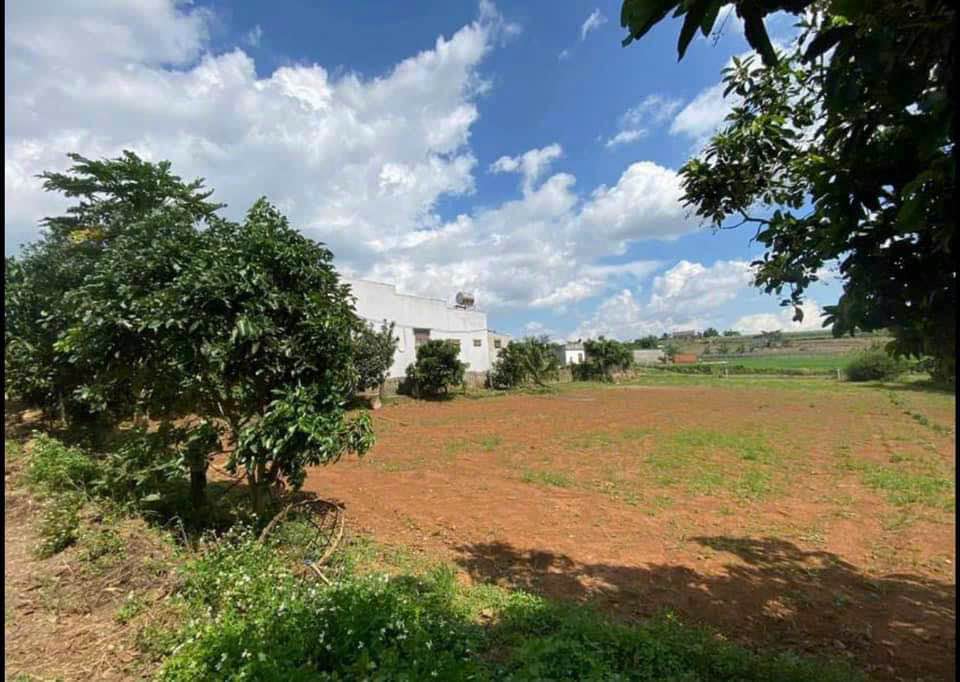 Đất Đức Trọng, ngang 5m, 72m2 thổ cư, giá 1,69 tỷ, đầu tư hay nghỉ dưỡng