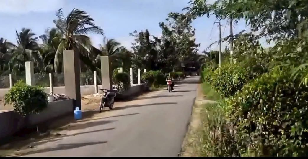Siêu phẩm đất mặt tiền đường nhựa xã Mỹ Hòa, Bến Tre đã sẵn sàng chờ chủ mới