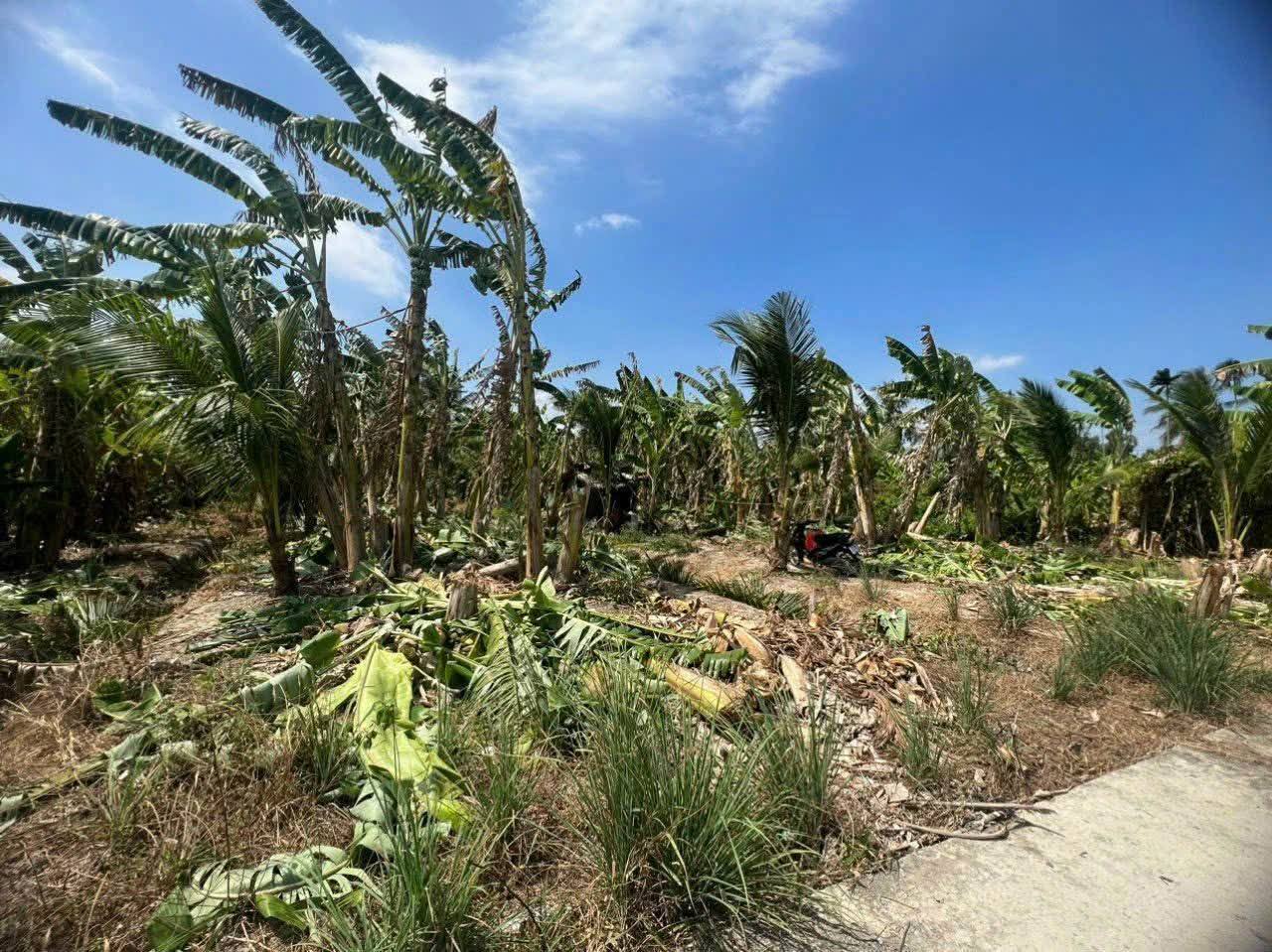 Đất Vĩnh Long, 1000m2, 900 triệu, đường rộng 2.5m, phù hợp xây nhà trọ cho thuê