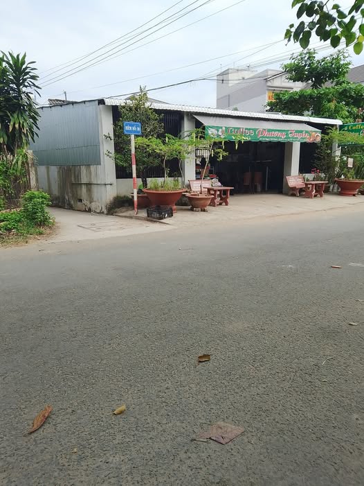 Giao dịch đất Thạch Thị Thanh, Bến Tre - An cư lạc nghiệp