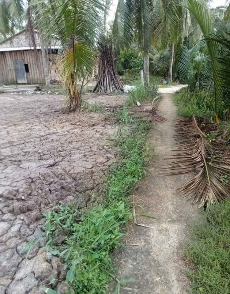 Siêu phẩm đất nền Bình Hòa, Giồng Trôm, Bến Tre đã sẵn sàng chào đón chủ nhân mới