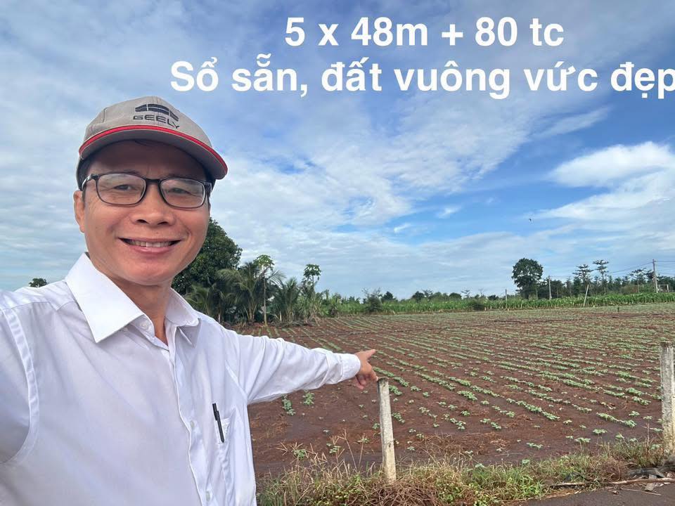 Bán 3 lô đất thổ cư hiếm có tại khu dân cư Đá Bạc, Bà Rịa - Vũng Tàu, giá chỉ từ 650 triệu