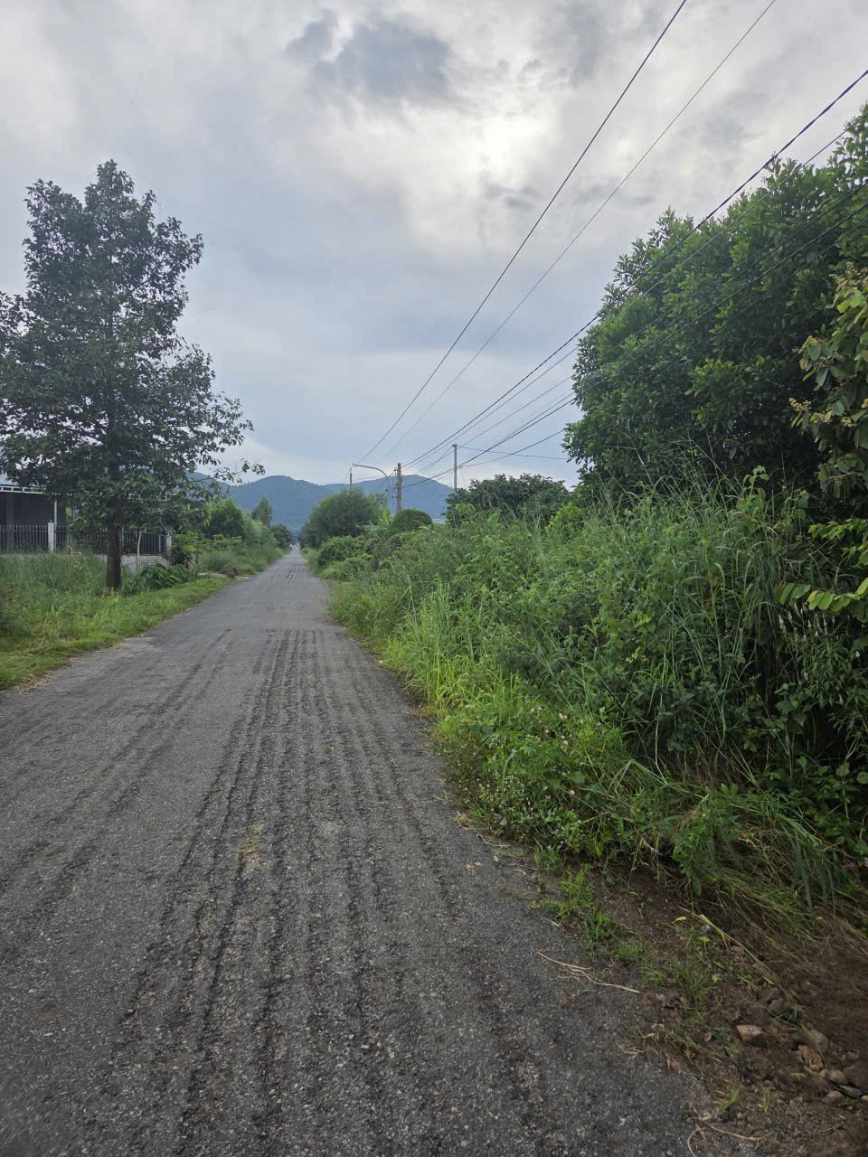 Bán đất mặt tiền đường nhựa, gần trường cấp 2 Tóc Tiên, Phú Mỹ