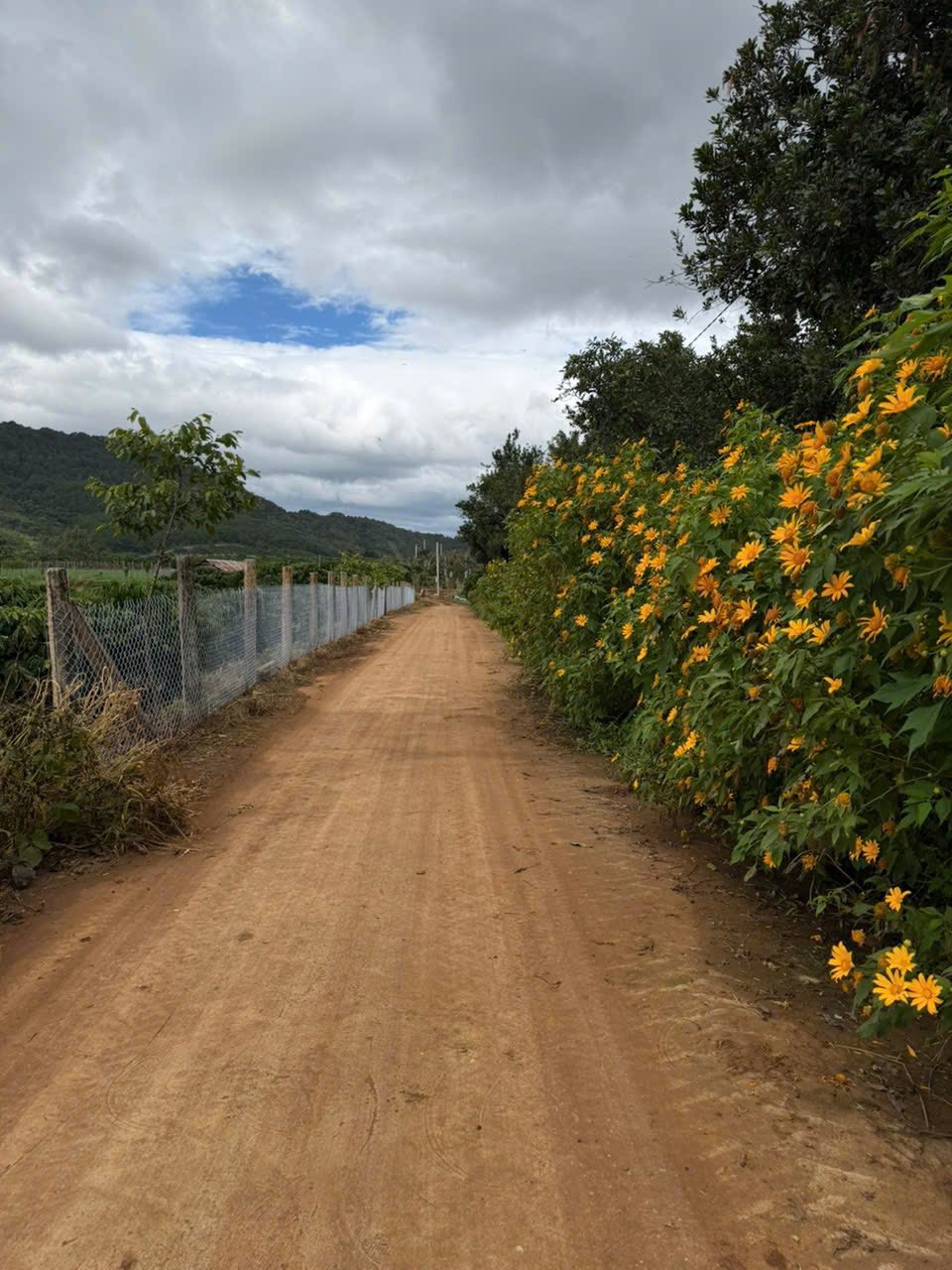 Đất F0 siêu hot tại Liên Hiệp Cũ, Hiệp Thạnh, Lâm Đồng