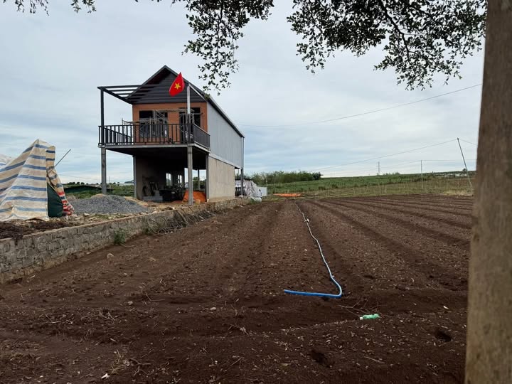 Bán 2 lô đất tại Đà Lạt, diện tích 5x45m với 75m2 thổ cư