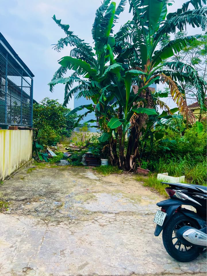 Bán đất tại ngõ Cao Văn Lầu, Đồng Hới, diện tích 136.5m2, giá chỉ 1.5 tỷ