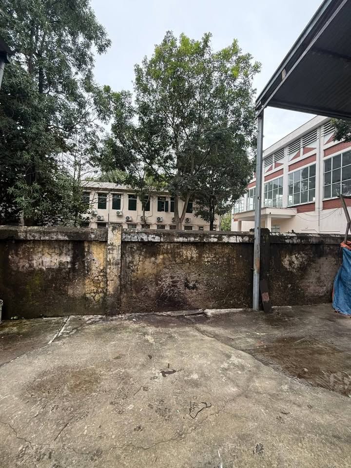 Chớp ngay cơ hội sở hữu mảnh đất siêu đẹp tại Liên Hà - Ô Diên, Đan Phượng