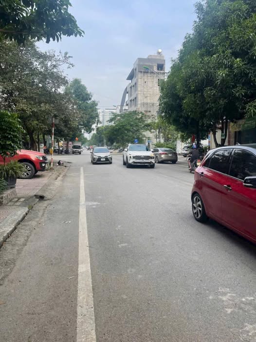 Siêu phẩm đất nền tọa lạc ngay trên trục đường Lê Thánh Tông sầm uất, thuộc phường Võ Cường, thành phố Bắc Ninh