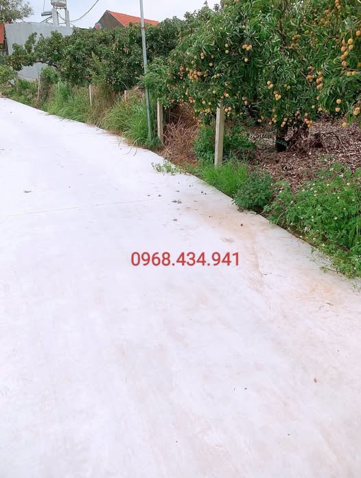 Đất Vô Tranh, Lục Nam 580m2, mặt tiền 13m, sẵn vườn cây, gần Tỉnh Lộ 293