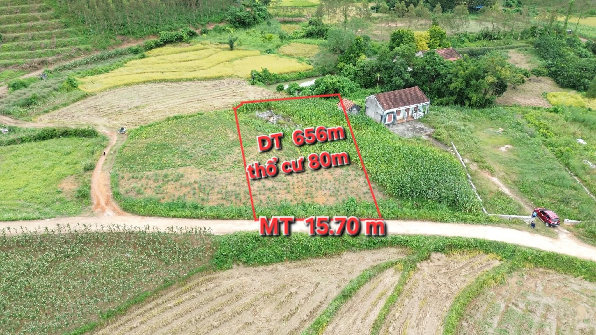 Bán mảnh vườn 656m2 tại Yên Thế, Bắc Giang, giá chỉ hơn 5xx triệu!