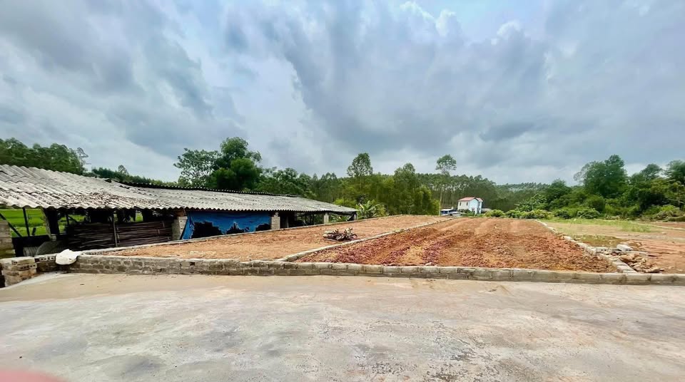 Chỉ còn duy nhất một em đất "vàng" tại Bắc Giang, diện tích 147m2