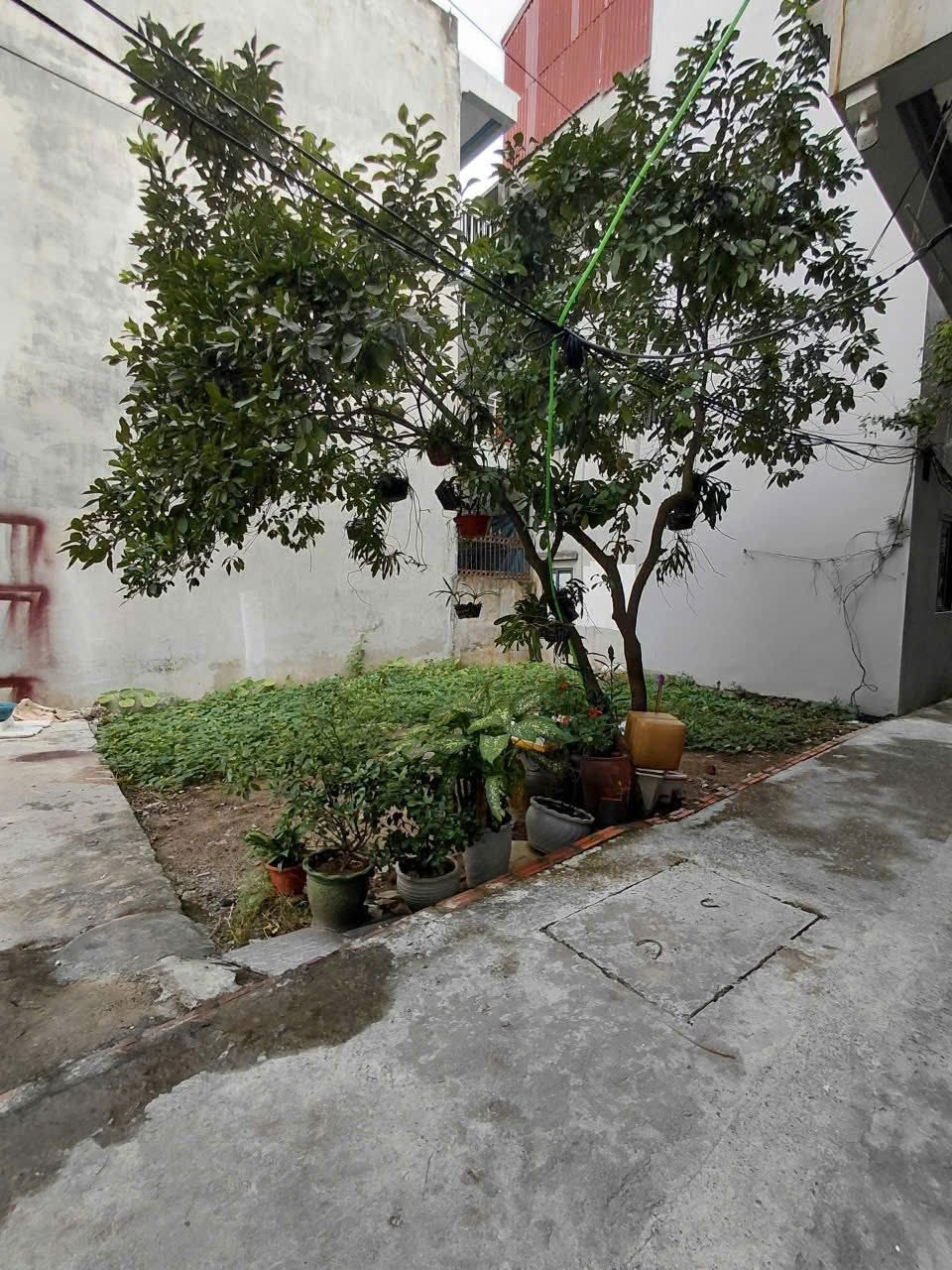 Bán đất lô góc 55m2, mặt tiền 7.96m tại chợ Que Hàn, Thường Tín, vị trí kinh doanh được