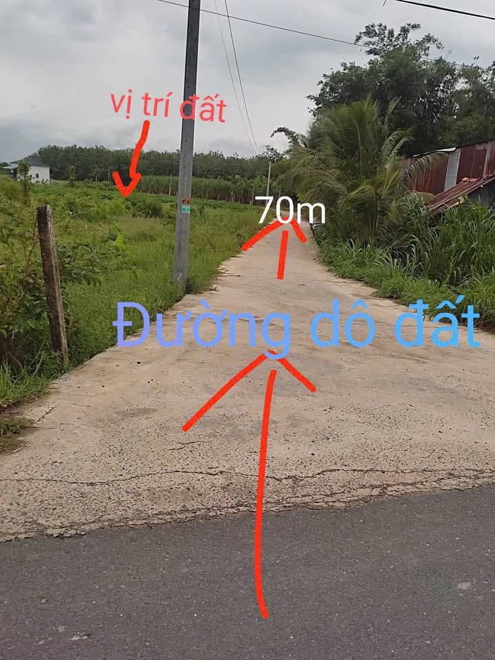 Bán đất vườn 117m2 tại Gò Dầu, Tây Ninh, sổ hồng riêng, đường thông