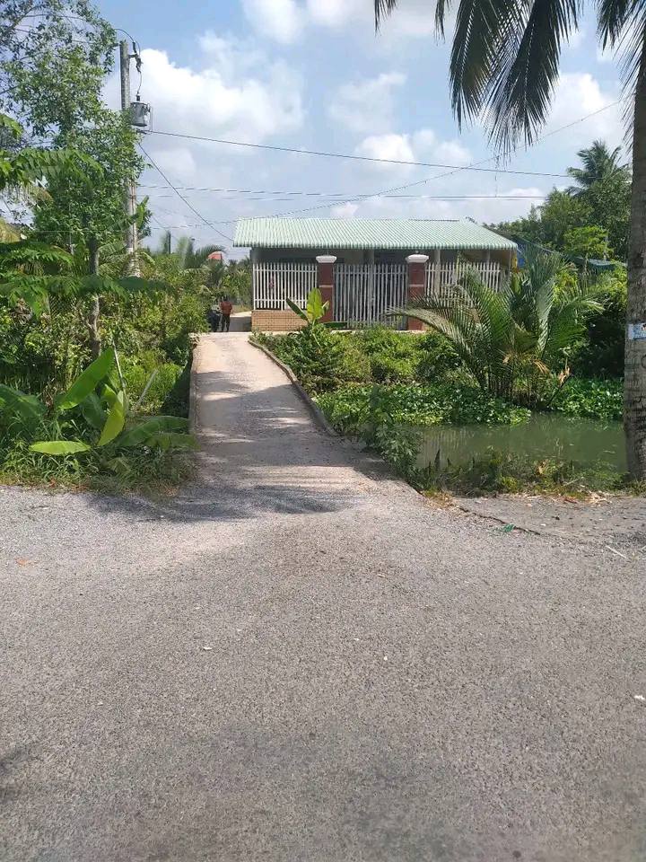 Đất nền Tiền Giang vị trí vàng, giá hời, trồng dừa xanh mát