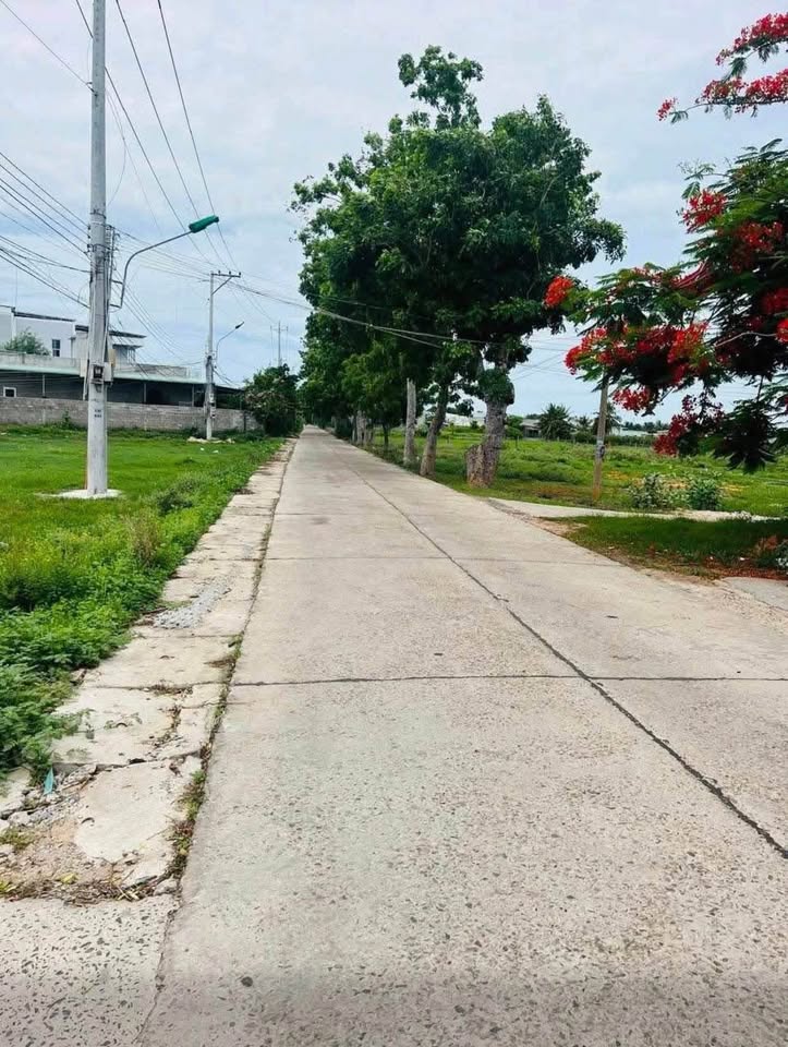 Bán 1578m2 đất quy hoạch thổ cư tại Phong Nẫm, Phan Thiết