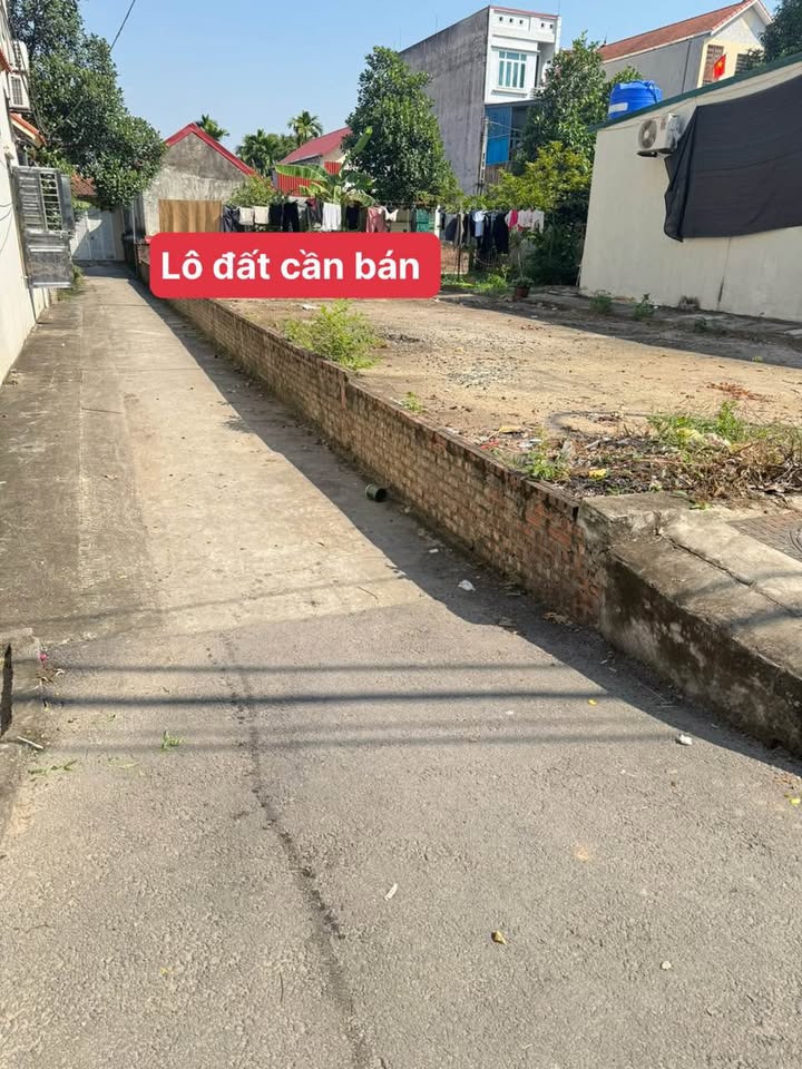 Bán nhanh đất trung tâm Võng Xuyên cũ, Phúc Thọ - 80m2, giá tốt