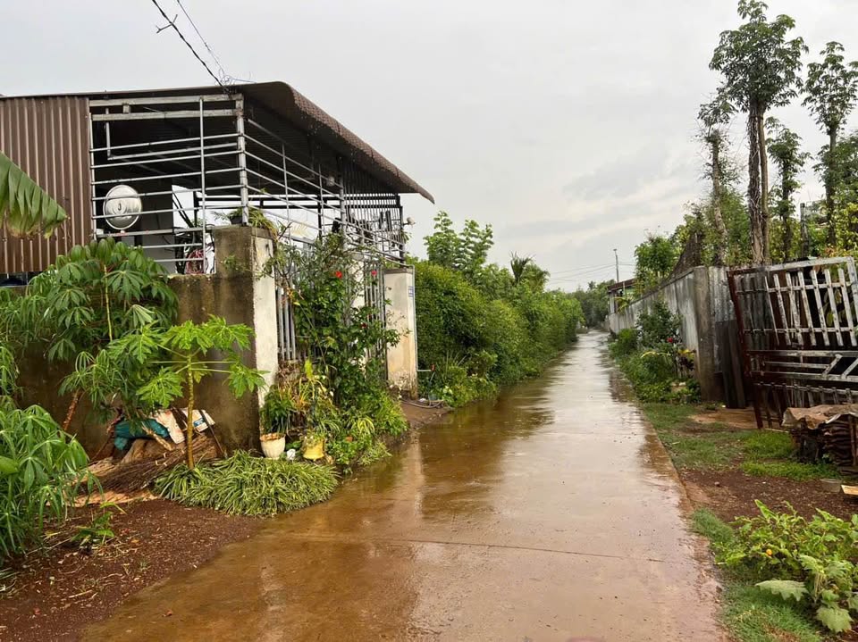 Đất Buôn Ma Thuột 10m x 20m, 60m2 thổ cư, đường xe hơi, chỉ 1,39 tỷ, ăn ngay kẻo lỡ