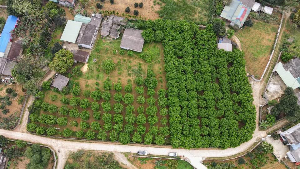 Đất Lương Sơn Hòa Bình, mặt tiền gần 100m, giá chỉ nhỉnh 2 triệu/m2