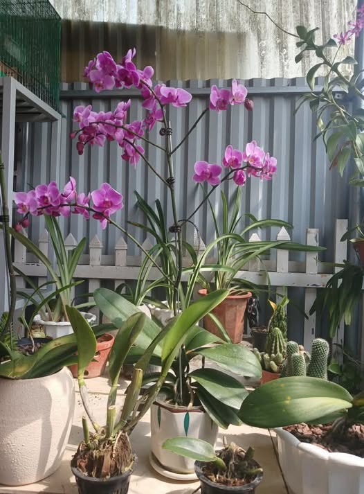 Nhà cấp 4 siêu xinh, tọa lạc tại Tô 9, Chí Kiên, Bắc Kạn, cách Quốc lộ 40m, ô tô đỗ cửa, tiện đi lại khỏi bàn