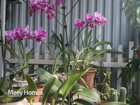 Nhà cấp 4 siêu xinh, tọa lạc tại Tô 9, Chí Kiên, Bắc Kạn, cách Quốc lộ 40m, ô tô đỗ cửa, tiện đi lại khỏi bàn