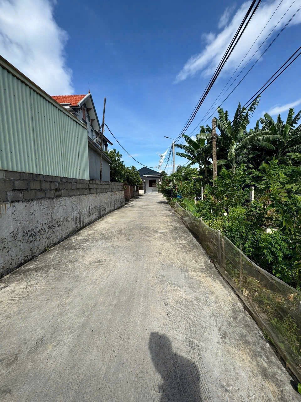 Đất Thiên Hương - Hải Phòng, diện tích 71.5m², giá mềm như bún, đầu tư hay an cư đều ngon