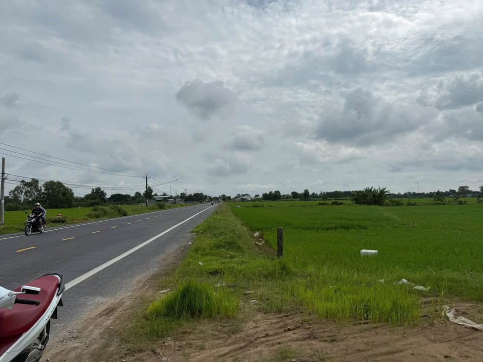 Mặt tiền Nam Kỳ Khởi Nghĩa nối dài 1350m2 đất vàng, sẵn sàng xây kho xưởng