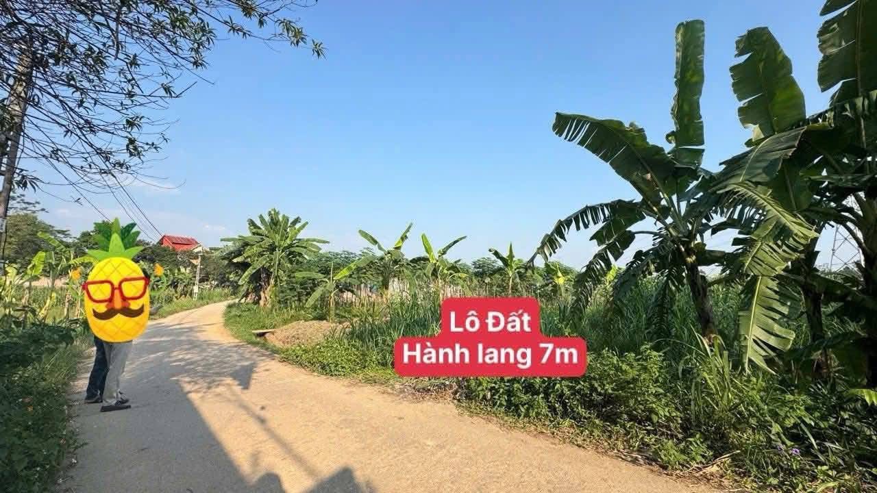 Bán đất thổ cư 140m² tại Xã Liễn Sơn, Vĩnh Phúc, giá chỉ 1 tỷ