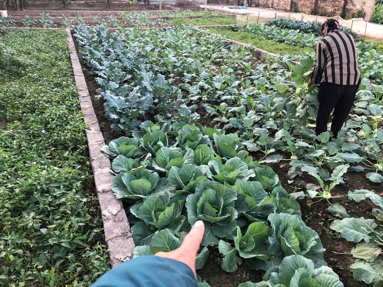 Bán đất tại Thường Tín, đường thông ô tô tránh, kinh doanh sầm uất, tiềm năng tăng giá cực lớn