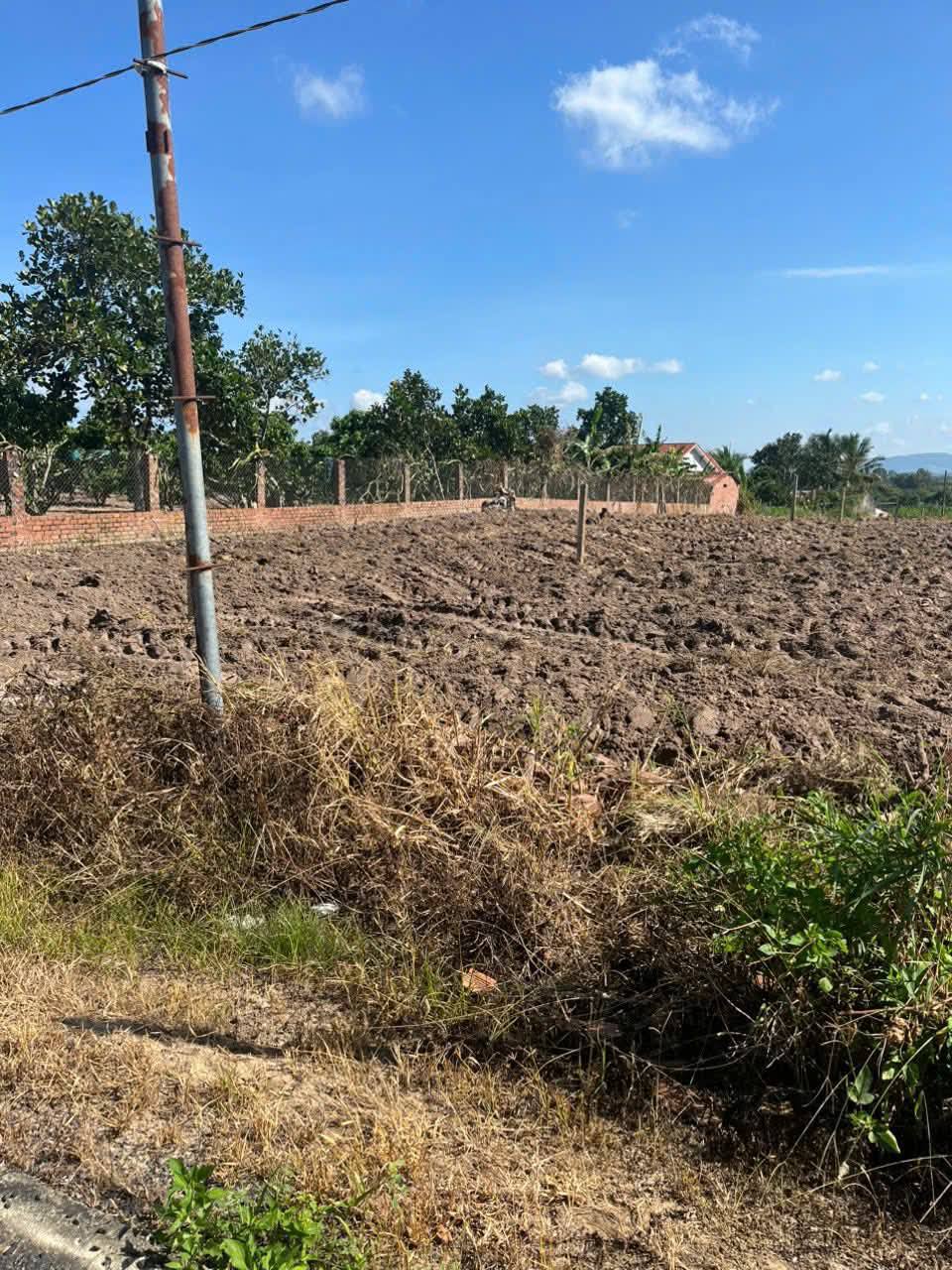 Bán gấp đất nền 8.3x56m, 580 triệu, gần chợ Eatý, Đắk Lắk