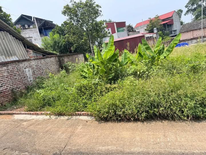 Đất vàng Ái Mỗ, Sơn Tây ô tô đỗ cửa, sổ đỏ vuông vắn, giá hời