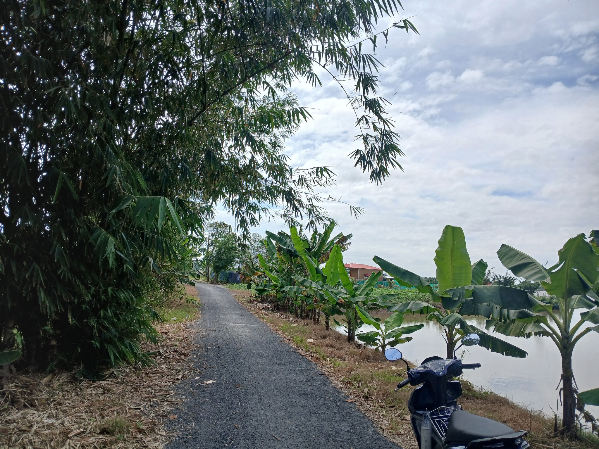 Bán 2 công đất cây lâu tại Mỹ Hòa, Long Xuyên, An Giang