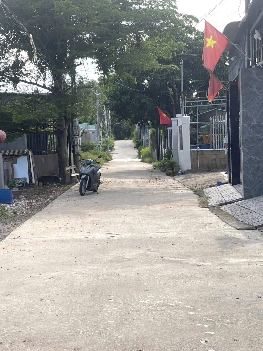 Mảnh đất 'ngon lành cành đào' tọa lạc ngay sau Trường Hoàng Văn Thụ, Phước Hưng, Long Điền, Bà Rịa - Vũng Tàu