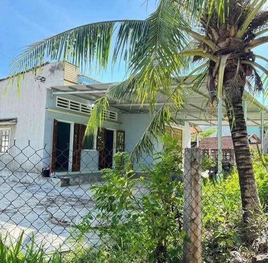 Nhà vườn 475m2 thoáng mát, sổ hồng sẵn sàng tạ!i Phù Cát