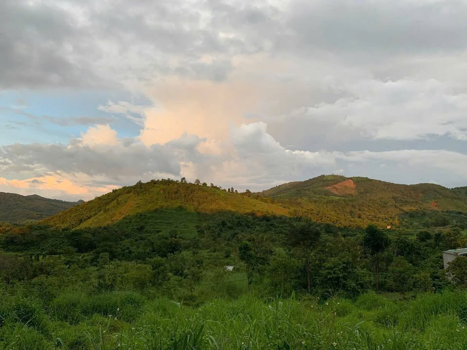 Bán 4 sào đất view đồi triệu đô, có nhà sẵn, điện nước đầy đủ