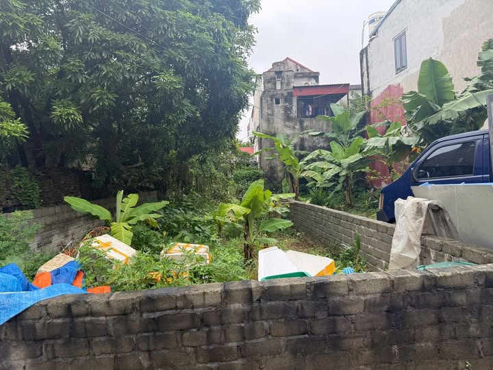 Siêu phẩm đất vườn 90m2, hướng Nam, ngõ rộng thoáng đãng tại Ninh Mỹ, Hoa Lư