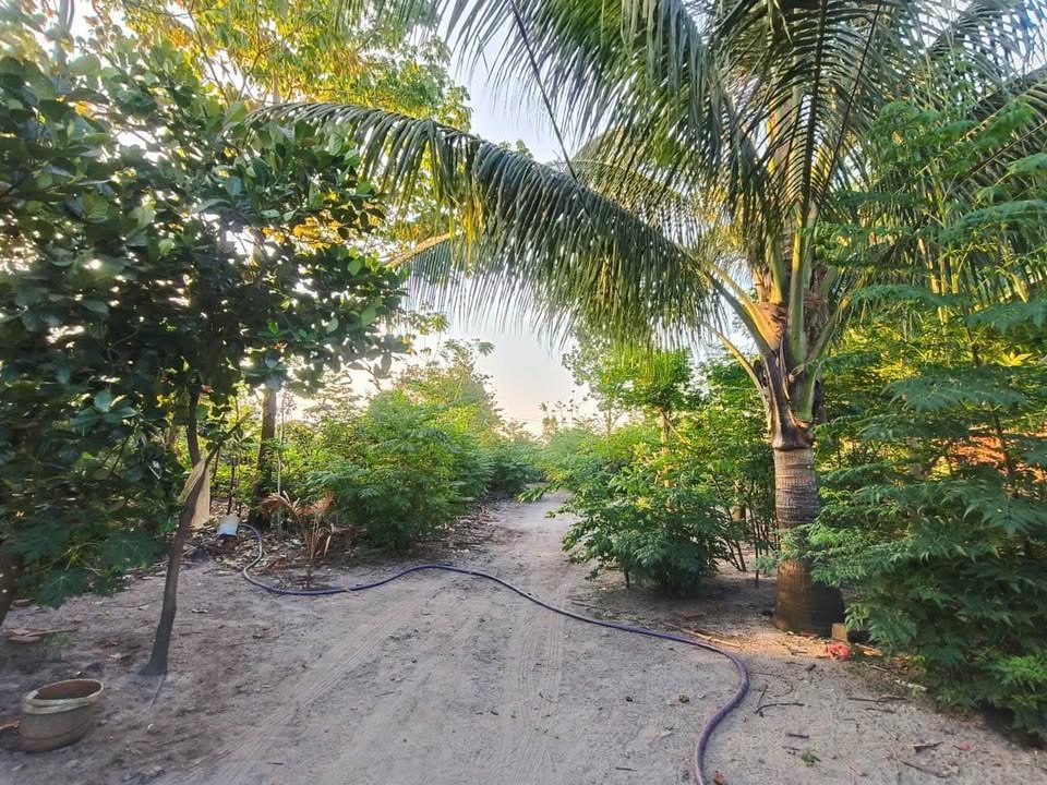 Bà Rịa - Long đất vàng, nở hậu, gần biển, 3725m2, giá 7.9 tỷ