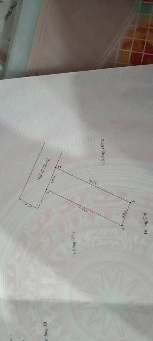 Lô đất đẹp 53,5m² gần Chợ Chiều Đa Phúc, chỉ nhỉnh 1 tỷ