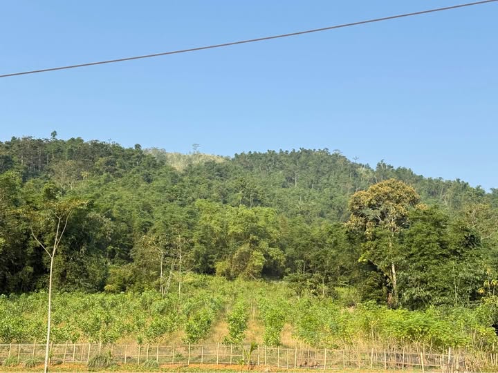 Chào mừng quý khách đến với cơ hội sở hữu một mảnh đất tuyệt đẹp với diện tích 302m²