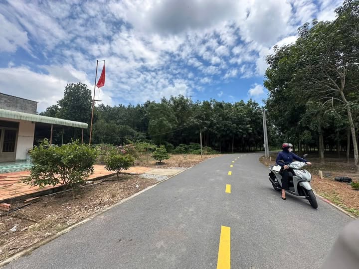 Tìm kiếm một mảnh đất "hời" ngay tại Phước Thành