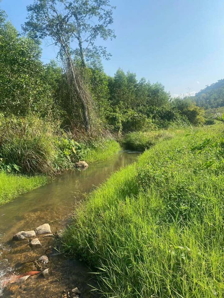 Đất vườn nghỉ dưỡng, giáp suối tại Định Quán, Đồng Nai – 1000m², sổ hồng riêng