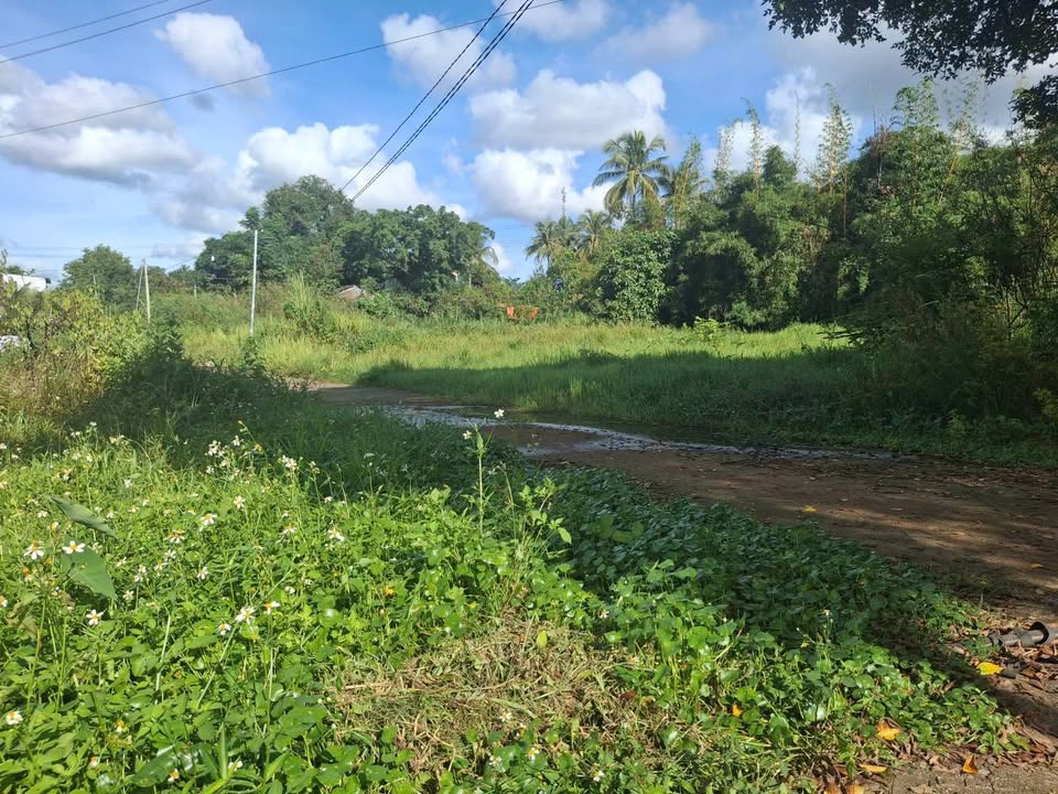 Cần bán gấp lô đất tại phường Thành Nhất, Buôn Ma Thuột, giá 1,3 tỷ