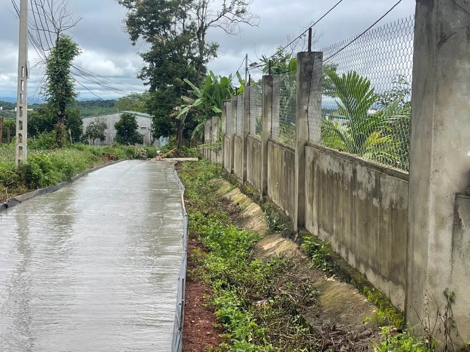 Mảnh đất sào rộng lớn, ba mặt tiền thoáng đãng, nép mình trên con đường hẻm của Đại lộ Đông Tây