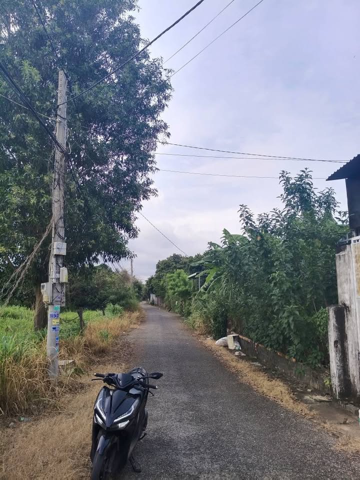 Bán nhà thị trấn Phước Bửu, diện tích rộng, nở hậu đón tài lộc