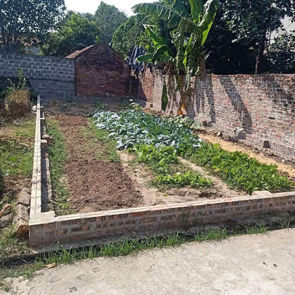 Bán đất 71m2 mặt tiền rộng 5,27m tại Nam Cương, Nội Bài, Sóc Sơn, Hà Nội