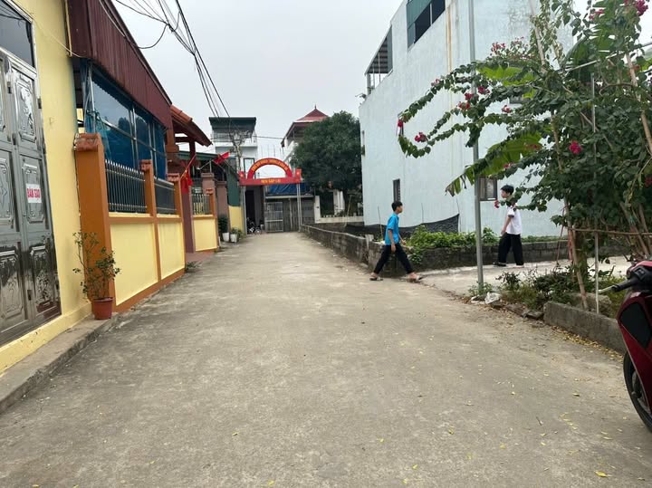 Mặt tiền kinh doanh đắc địa trục chính Thư Phú, Thường Tín, Hà Nội - 3.4 tỷ