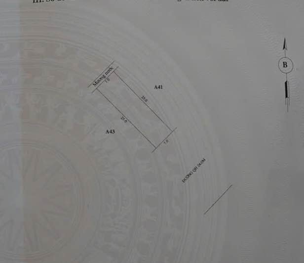 Siêu phẩm đất nền Tứ Hạ, Thừa Thiên Huế đã chính thức lộ diện