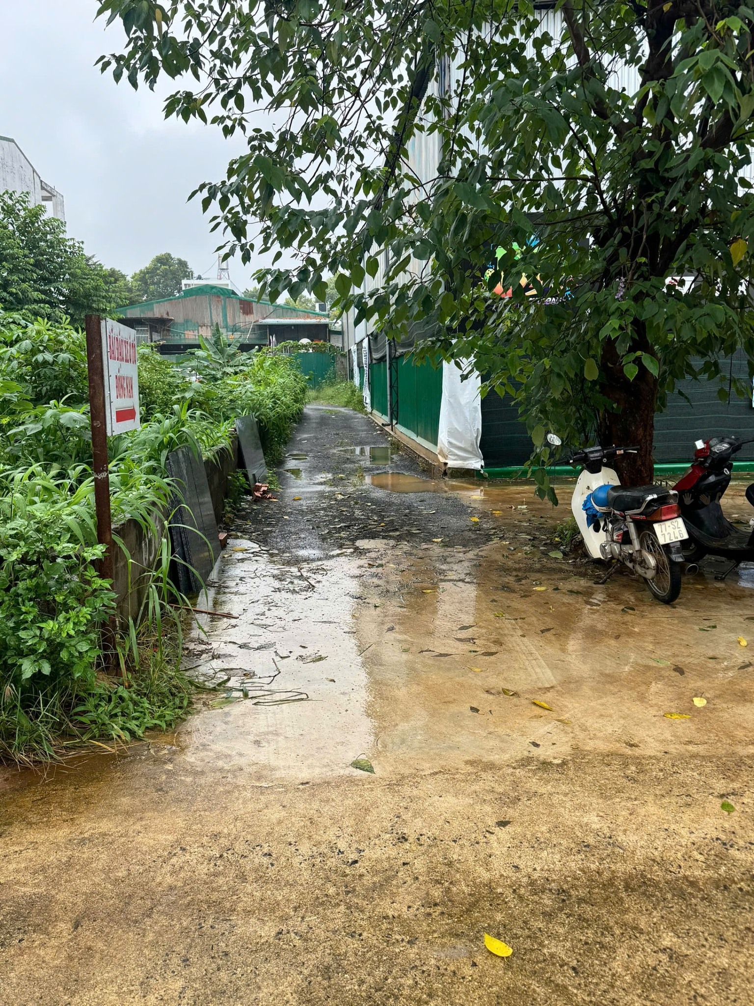 Siêu phẩm đất mặt tiền đường Trần Cừ, khu Làng Cafe Trung Nguyên, Đắk Lắk đã sẵn sàng chờ chủ mới