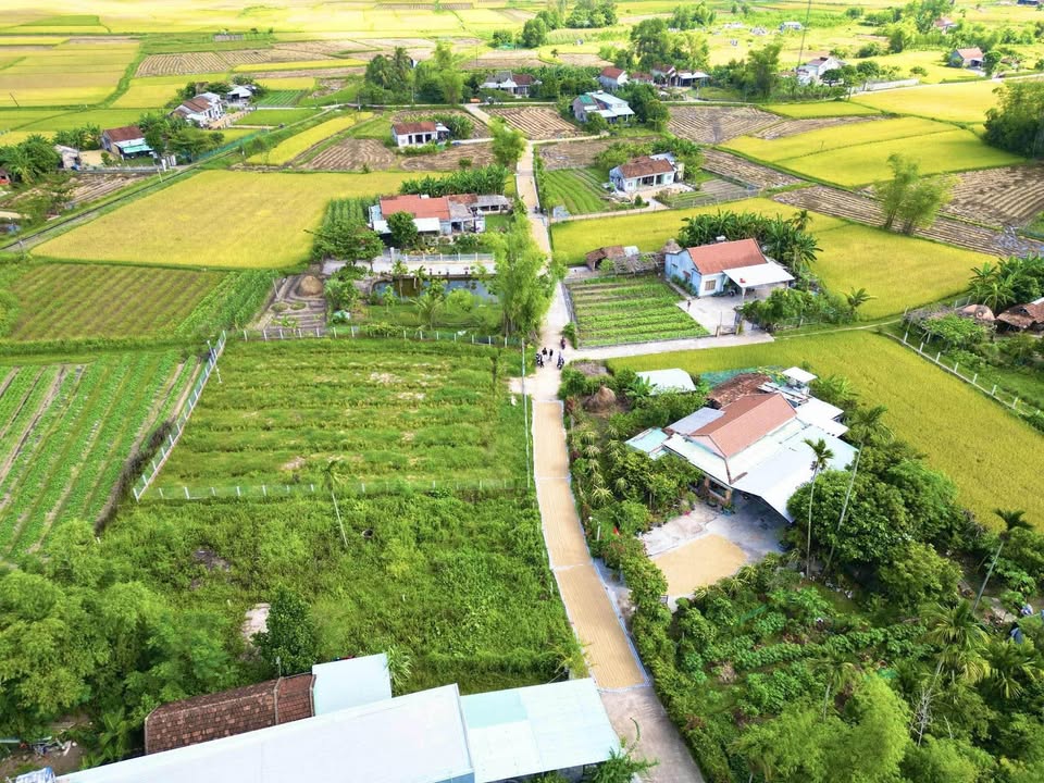 Mảnh đất "vườn xưa" Hoà Nhơn - Đà Nẵng, gửi gắm hoài niệm